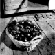 Hannelore Fischer (Edit.): Eva Besnyö: – Photographin Budapest, Berlin, Amsterdam (Wienand Verlag, 2018)