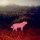 John Divola: Chroma (Skinnerboox, 2020)