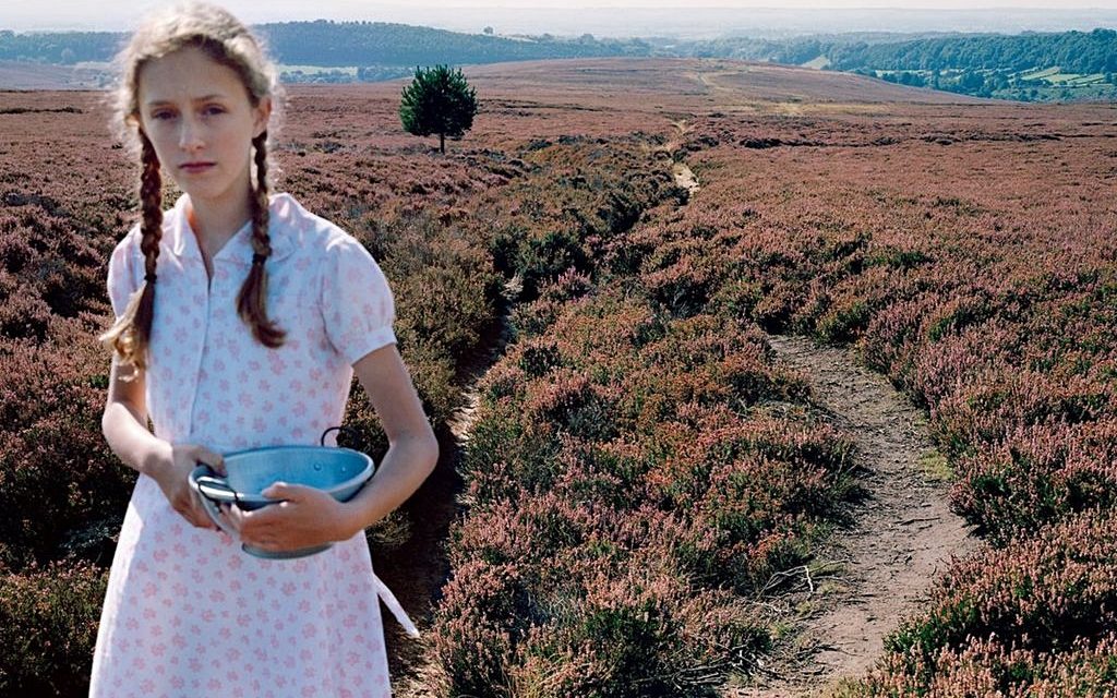 Lottie Davies: Quinn