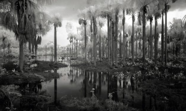 Richard Mosse: Broken Spectre